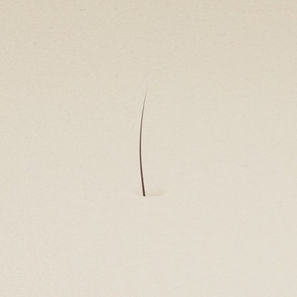 Roll-On VivaRaiz Fortalecimento